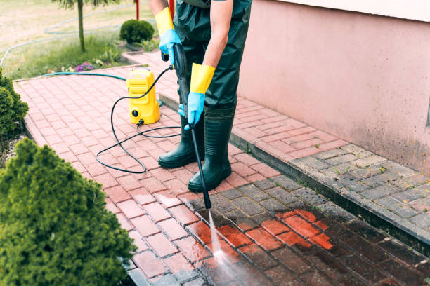 Best Driveway Pressure Washing  in Easton, PA